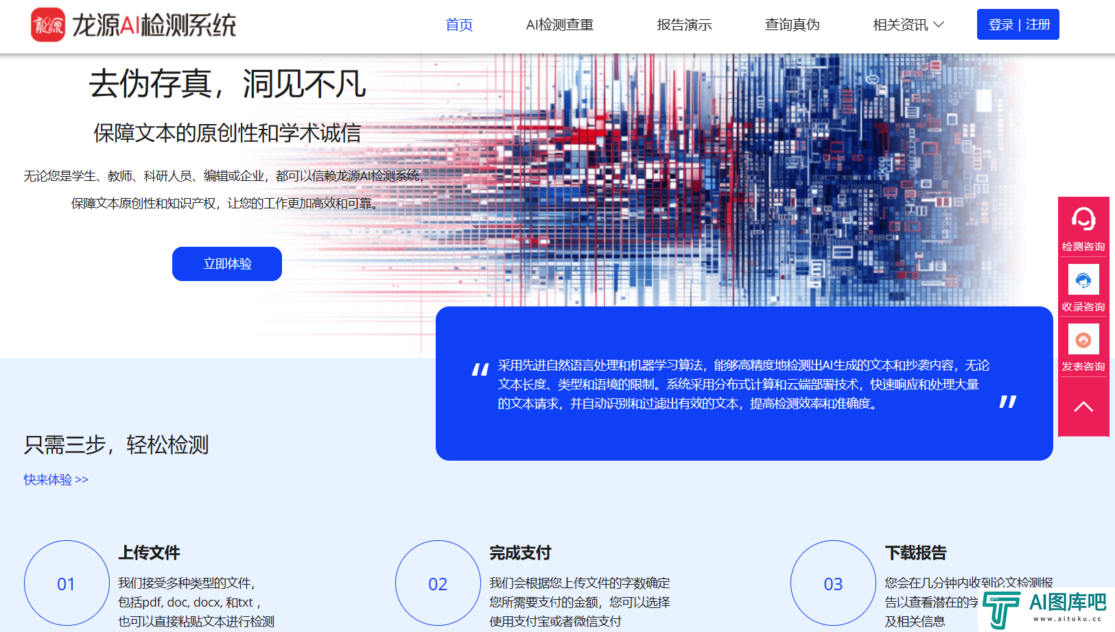 龙源AI检测