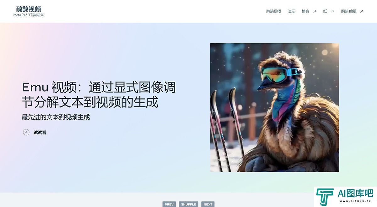 Emu Video.jpg