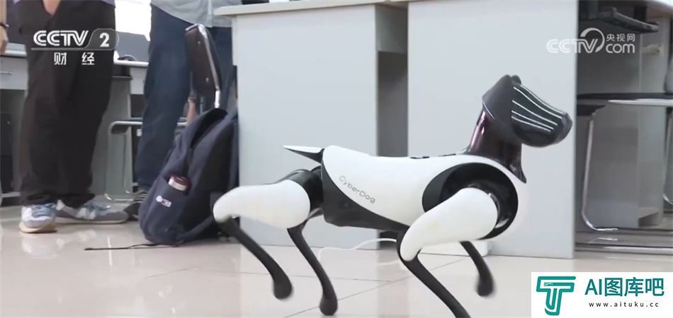 我国推动“AI+X”跨界人才培养 人工智能就业前景让相关专业热度持续攀升