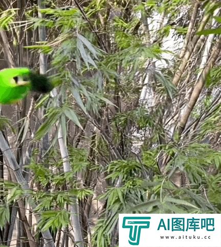 AI视频神器Pika，最近又推出了一个好玩的新功能：Pikaddition