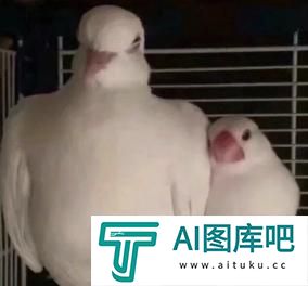 谷歌爆款学习神器更新,一键插嘴AI对话,哪里不会问哪里 谷歌爆款学习神器更新,一键插嘴AI对话,哪里不会问哪里