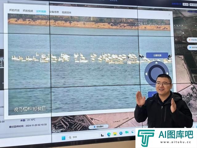 鸟儿报到，AI知晓